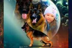 fasap_collage