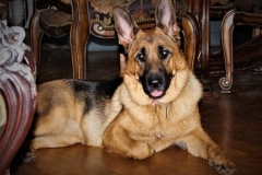 alessa