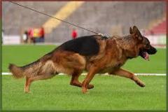 ballack_runs1