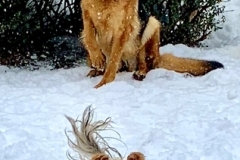 20190114_194609