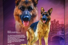 beata-poster