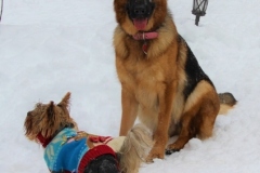 IMG_8055_1086x1280