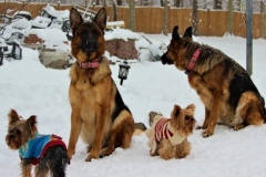 IMG_8058_1280x805