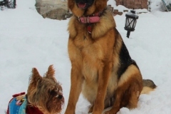 IMG_8063_956x1280