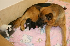 Picture-1574