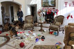 christmas-toy-drop