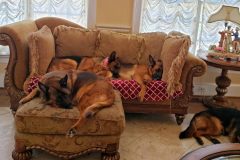 nap-time