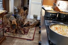 we-smell-supper