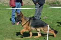 cyrus_show_ring1