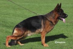 cyrus_stand1