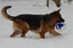 IMG_8101_1280x769
