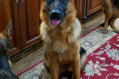 eva
