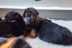 VideoCapture_20231209-142942