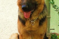 greta3