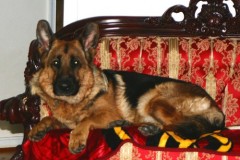 greta4