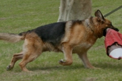 Mara5