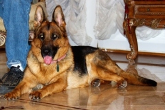 IMG_5580_1280x797