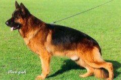 nino1