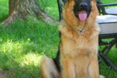 fiona_008