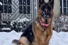 20190114_103338