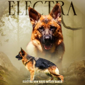 electra poster