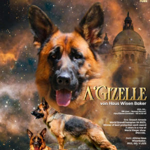 gizelle poster1