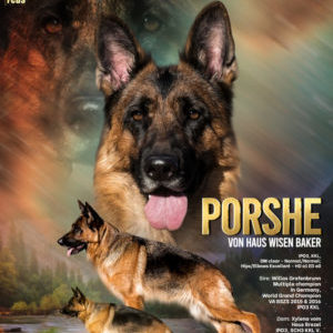 porshe poster